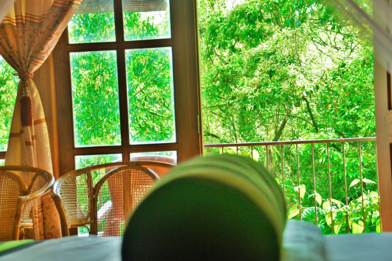 Green Cottage Ella Esterno foto