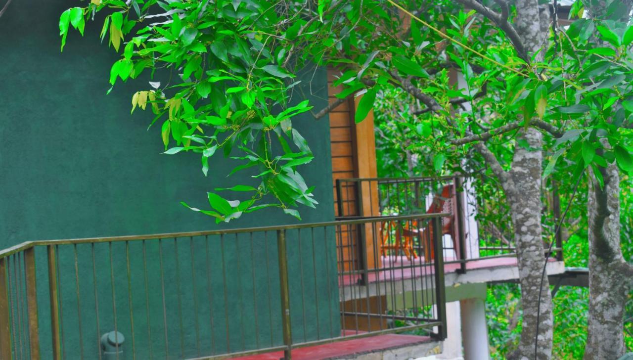 Green Cottage Ella Esterno foto