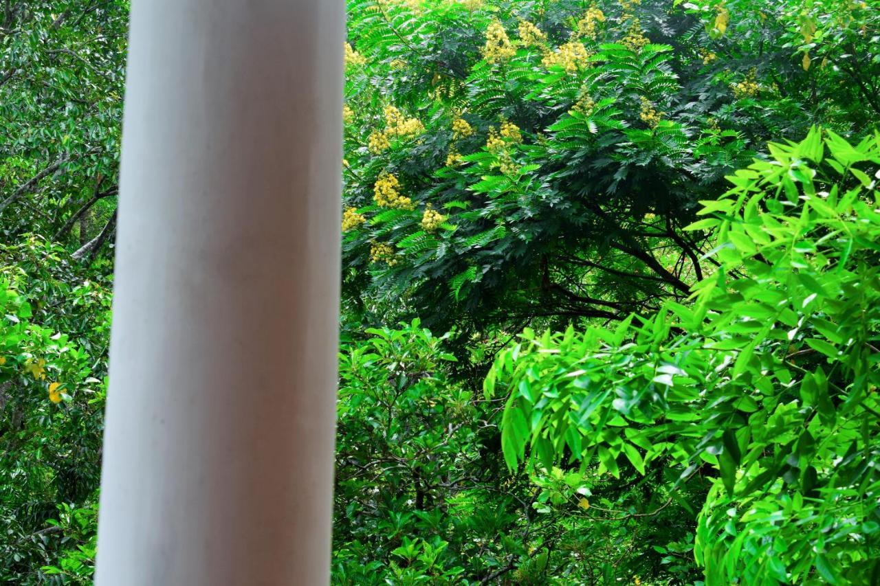 Green Cottage Ella Esterno foto