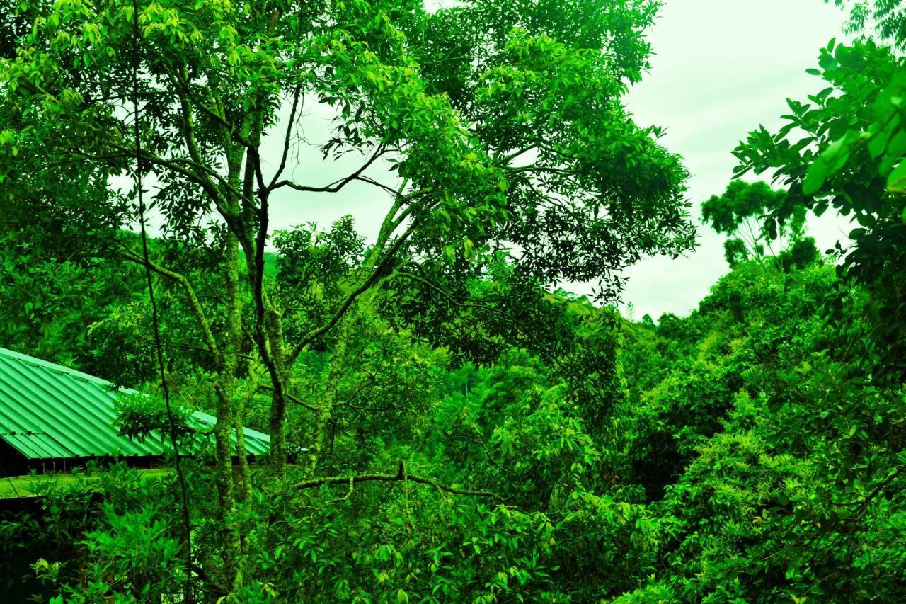 Green Cottage Ella Esterno foto