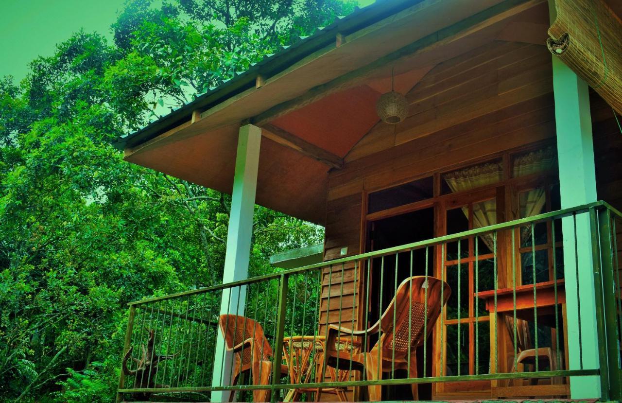 Green Cottage Ella Esterno foto