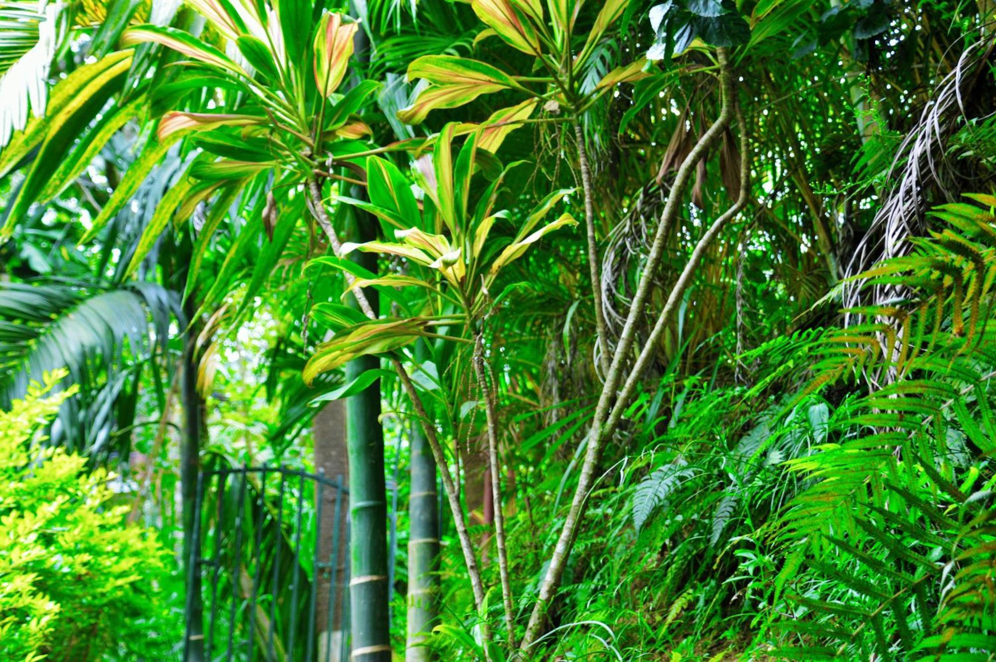 Green Cottage Ella Esterno foto
